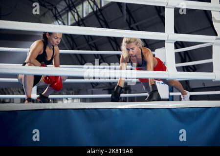 Young female athletes, professional boxers, kickboxers have a rest after hard training at sports gym. Concept of sport, workout, active and healthy Stock Photo