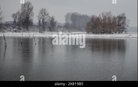 Swamp in winter, misty landscape. A panoramic view of the marsh in a winter foggy day. Stock Photo