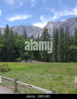 The steep rock formations seen behind green sugar pine trees in ...