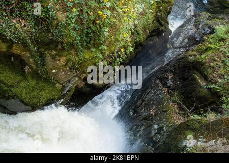 Autumnal water plunging through the narrow gorge at the top of Aira Force, Lake Ullswater, Lake District, Cumbria, UK Stock Photo