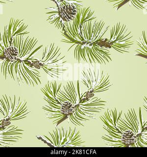 Seamless texture branch Pine tree with pine cones and snow vector illustration Stock Vector