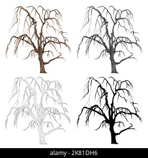 Old tree willow color black and white contour of the silhouette vector Stock Vector