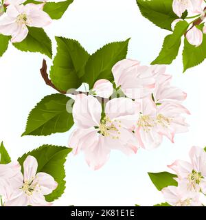 Seamless texture Apple blossom twigs with leaves blue background vintage vector illustration Stock Vector