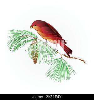 Bird Crossbill on a snowy pine branch and pine cone Stock Vector