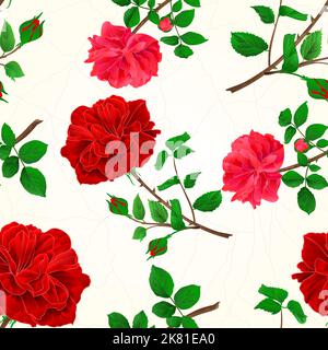 Seamless texture red roses cracks in the porcelain seamless texture vintage vector illustration Stock Vector