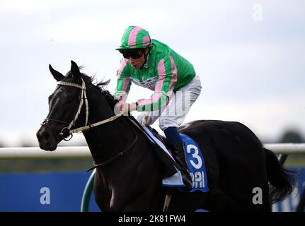 File photo dated 07-10-2022 of Pogo ridden by William Buick. Charles Hills is planning to give Pogo a crack at Grade One company in the Breeders’ Cup Mile. The six-year-old is one of the most popular and consistent horses in training and has won three of six starts this term, having been exclusively campaigned over seven furlongs. Issue date: Thursday October 20, 2022. Stock Photo