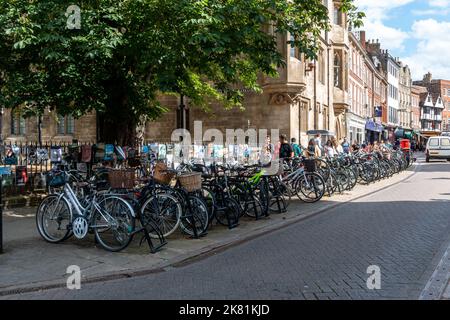 The very busy bike stands in the shade of a tree on St Johns Street, Cambridge, UK are completely filled with many bicycles. Stock Photo