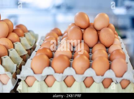 Storage of many of eggs in paper box Stock Photo