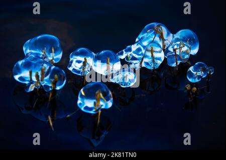 Special ice globes in nature on black background Stock Photo