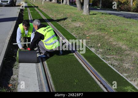 Decorative artificial grass is installed on the tram line, in Osijek