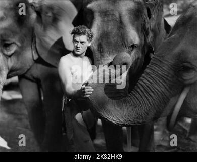 Johnny Weissmuller Film: Tarzan The Ape Man (USA 1932) Characters: Tarzan WITH  / Dt. Titel Auch: 'Tarzan, Der Herr Des Urwalds' Director: W.S. Van Dyke 25 March 1932   **WARNING** This Photograph is for editorial use only and is the copyright of MGM and/or the Photographer assigned by the Film or Production Company and can only be reproduced by publications in conjunction with the promotion of the above Film. A Mandatory Credit To MGM is required. The Photographer should also be credited when known. No commercial use can be granted without written authority from the Film Company. Stock Photo