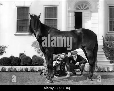 Donald O'Connor, Fred Macmurray & Bing Crosby & Horse Film: Sing You Sinners (1938) Characters: Mike Beebe, David Beebe, Joe Beebe  Director: Wesley Ruggles 17 August 1938   **WARNING** This Photograph is for editorial use only and is the copyright of PARAMOUNT and/or the Photographer assigned by the Film or Production Company and can only be reproduced by publications in conjunction with the promotion of the above Film. A Mandatory Credit To PARAMOUNT is required. The Photographer should also be credited when known. No commercial use can be granted without written authority from the Film Comp Stock Photo