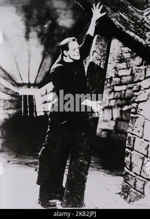 Boris Karloff Film Frankenstein (USA 1931) Characters: The Monster ...