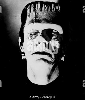洋書 Frankenstein by James Whale Critics At Large : We Created a Monster: James Whale's