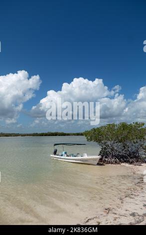 Small boat in water near mangrove swamps at Rio Lagartos Biosphere Reserve in Yucatan, Mexico Stock Photo