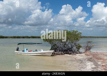 Small boat in water near mangrove swamps at Rio Lagartos Biosphere Reserve in Yucatan, Mexico Stock Photo