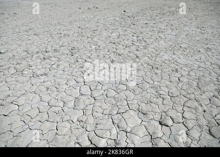 Dried mud on beach at Rio Lagartos Biosphere Reserve in Yucatan, Mexico Stock Photo