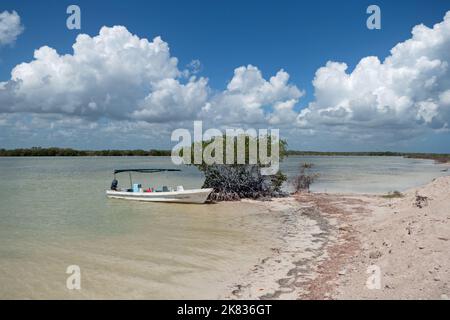 Small boat in water near mangrove swamps at Rio Lagartos Biosphere Reserve in Yucatan, Mexico Stock Photo