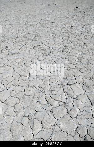 Dried mud on beach at Rio Lagartos Biosphere Reserve in Yucatan, Mexico Stock Photo