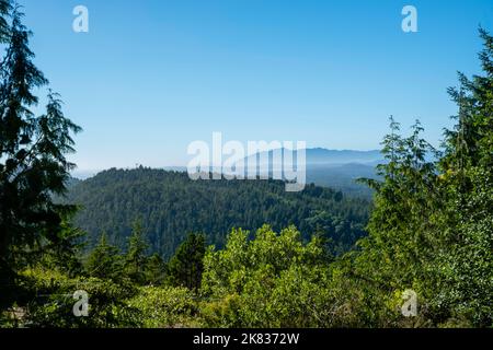 The view from Radar Hill, Pacific Rim National Park Reserve, looking northwest. near Tofino on a beautiful summer afternoon. Tofino, British Columbia, Stock Photo