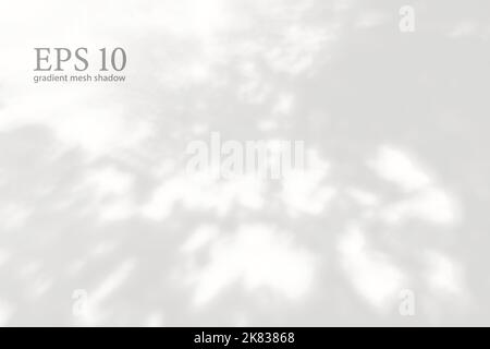 Transparent natural plant shadow. Light effect overlay. Mesh grid. Shadows from branches, plant, foliage and leaves on ground. Presentation your Stock Vector