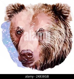 Bear's head with snow in its fur. Winter illustration as vector in low poly style. Stock Vector