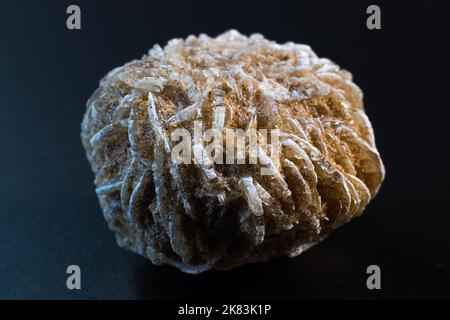 Desert rose, rock rose gypsum crystal cluster on black surface Stock Photo