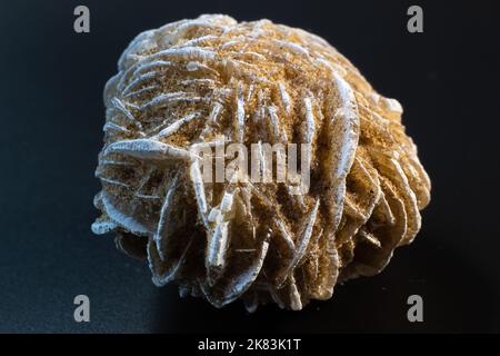 Desert rose, rock rose gypsum crystal cluster on black surface Stock Photo