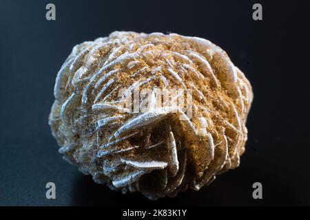 Desert rose, rock rose gypsum crystal cluster on black surface Stock Photo