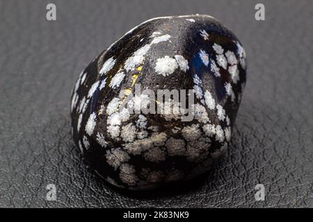 Tumbled close up snowflake obsidian isolated on white background Stock Photo