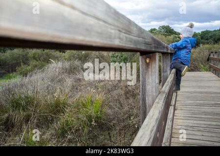 3-year-old boy climbing over the railing of a wooden bridge. Physical exercise in nature for kids concept Stock Photo