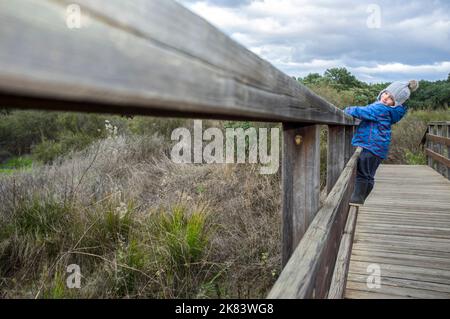 3-year-old boy climbing over the railing of a wooden bridge. Physical exercise in nature for kids concept Stock Photo