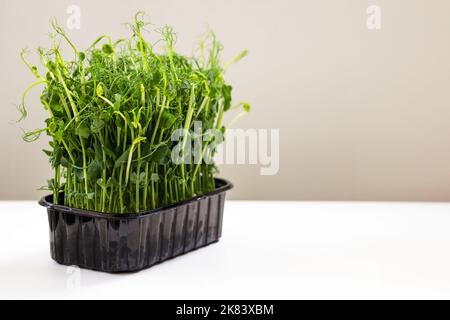 Micro green pea sprouts on a white table for healthy nutrition Stock Photo