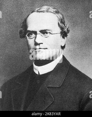 GREGO0R MENDEL (1822-1884)  Austrian Augustinian frir and biologist Stock Photo