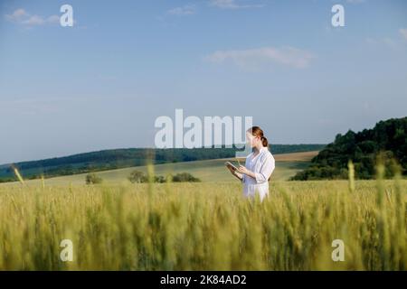 Female environmentalist scientist in a white coat in a green field of unripe ears of corn and recording data on a tablet device. Female researcher, biologist, walking in the field. Stock Photo