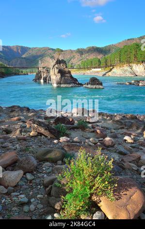 The rocky banks of the Katun River. Suspension bridge at the Dragon's Teeth rocks on the banks of a mountain river. Altai Republic, Siberia, Russia, 2 Stock Photo