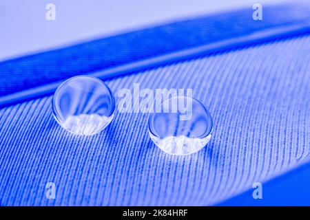 Beautiful large dew drops or rain on the poultry feather closeup. Black and white photograph Stock Photo
