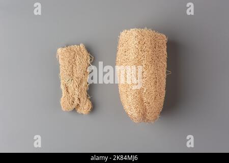 close-up of used and fresh luffa or sponge gourd, also known as vegetable sponge or rag gourd, natural scrubber product on neutral gray background Stock Photo