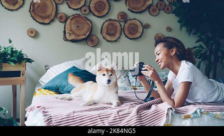 Young female photographer is shooting beautiful pet dog lying on bed and watching pictures on camera screen. Photography and pets concept. Photography, people and pets concept. Stock Photo