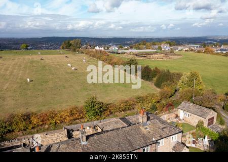 Aerial drone photo of the town of Huddersfield in West Yorkshire, England showing old cottages and a farmers field with animals grazing in the field t Stock Photo