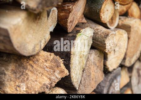 Tree trunks cut and chopped stacked into a wall ready to be burned. Stock Photo
