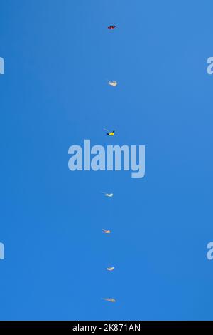Lines of colorful kites in flight in a blue sky. Wind activity, hobby, natural background Stock Photo