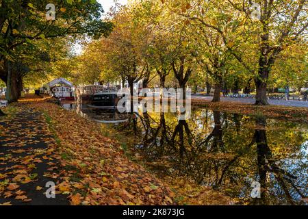 Grand Canal, Dublin, Ireland on sunny autumn day with golden fallen leaves on waters and towpath. Trees and floating barges reflected in water. Stock Photo