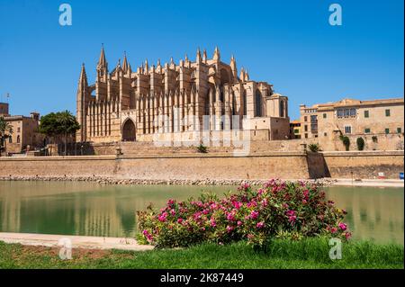 Palma Cathedral (La Seu), Palma de Mallorca, Mallorca (Majorca), Balearic Islands, Spain, Mediterranean, Europe Stock Photo