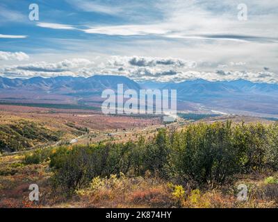 Fall color change amongst the trees and shrubs in Denali National Park, Alaska, United States of America, North America Stock Photo