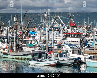 Commercial fishing boats of all kinds and sizes in Homer Harbor in Kachemak Bay, Kenai Peninsula, Alaska, United States of America, North America Stock Photo