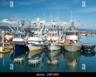 Commercial fishing boats of all kinds and sizes in Homer Harbor in Kachemak Bay, Kenai Peninsula, Alaska, United States of America, North America Stock Photo