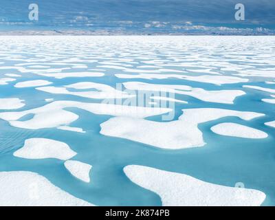 Melt water pools in the 10/10ths pack ice in McClintock Channel, Northwest Passage, Nunavut, Canada, North America Stock Photo