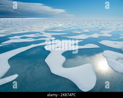 Melt water pools in the 10/10ths pack ice in McClintock Channel, Northwest Passage, Nunavut, Canada, North America Stock Photo