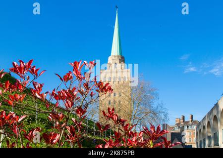 Nuffield College Library, Oxford, Oxfordshire, England, United Kingdom, Europe Stock Photo